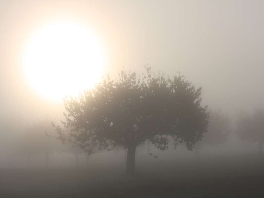 Hintergrundbild Märchen