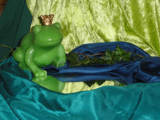 Bild 95