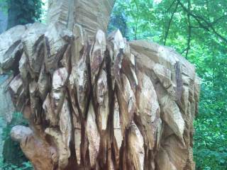 Bild 97