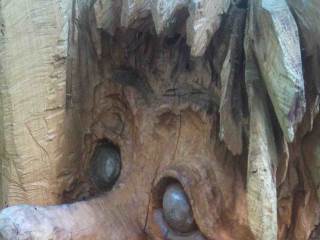 Bild 98